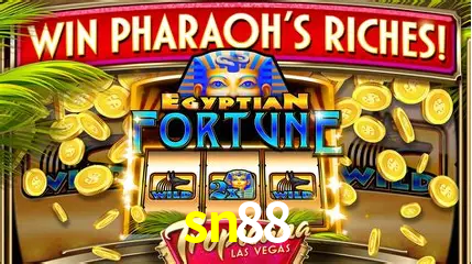Descubra o Mundo do Cassino Online com sn88